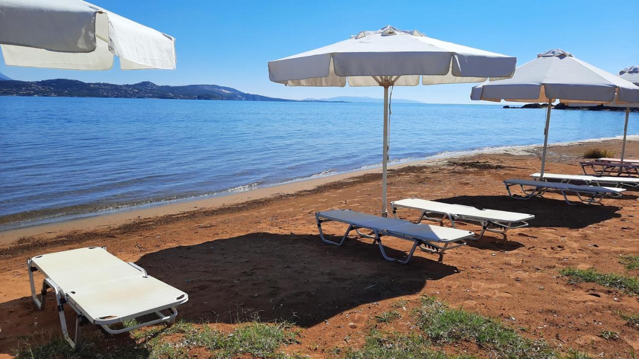 Alekos Beach Houses-Alekos Beach Complex Lixouri Bagian luar foto