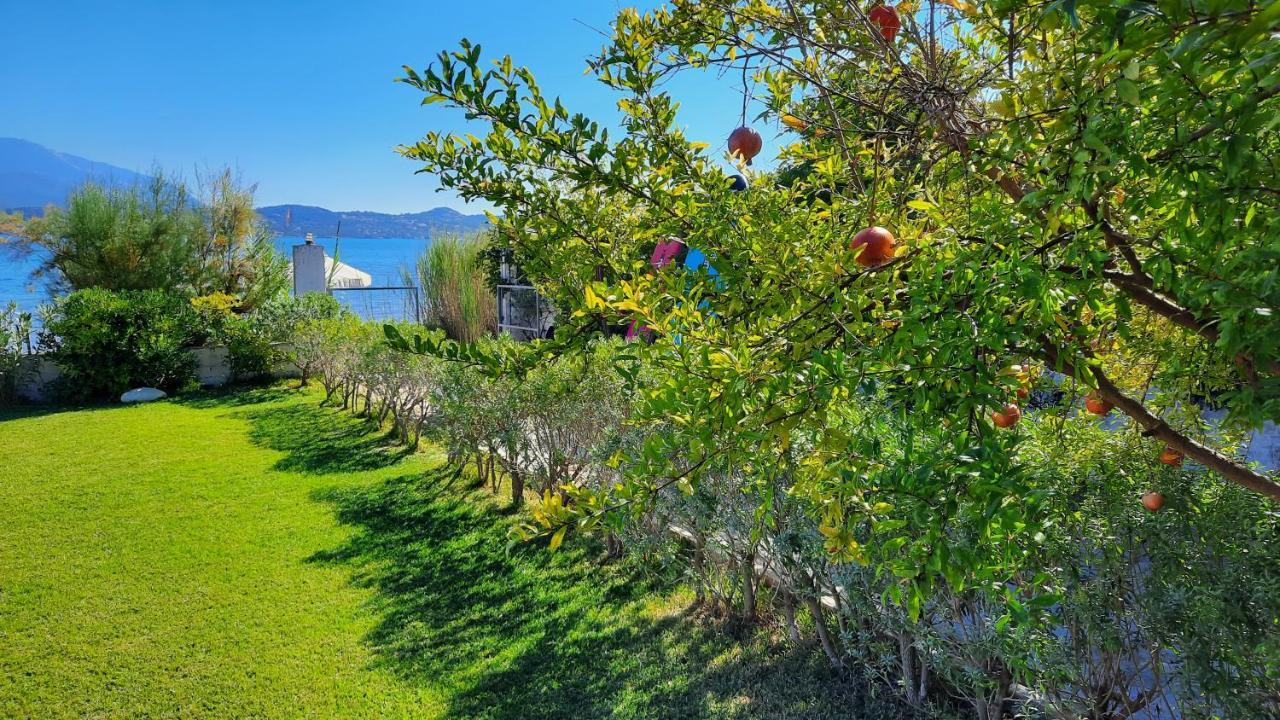 Alekos Beach Houses-Alekos Beach Complex Lixouri Bagian luar foto